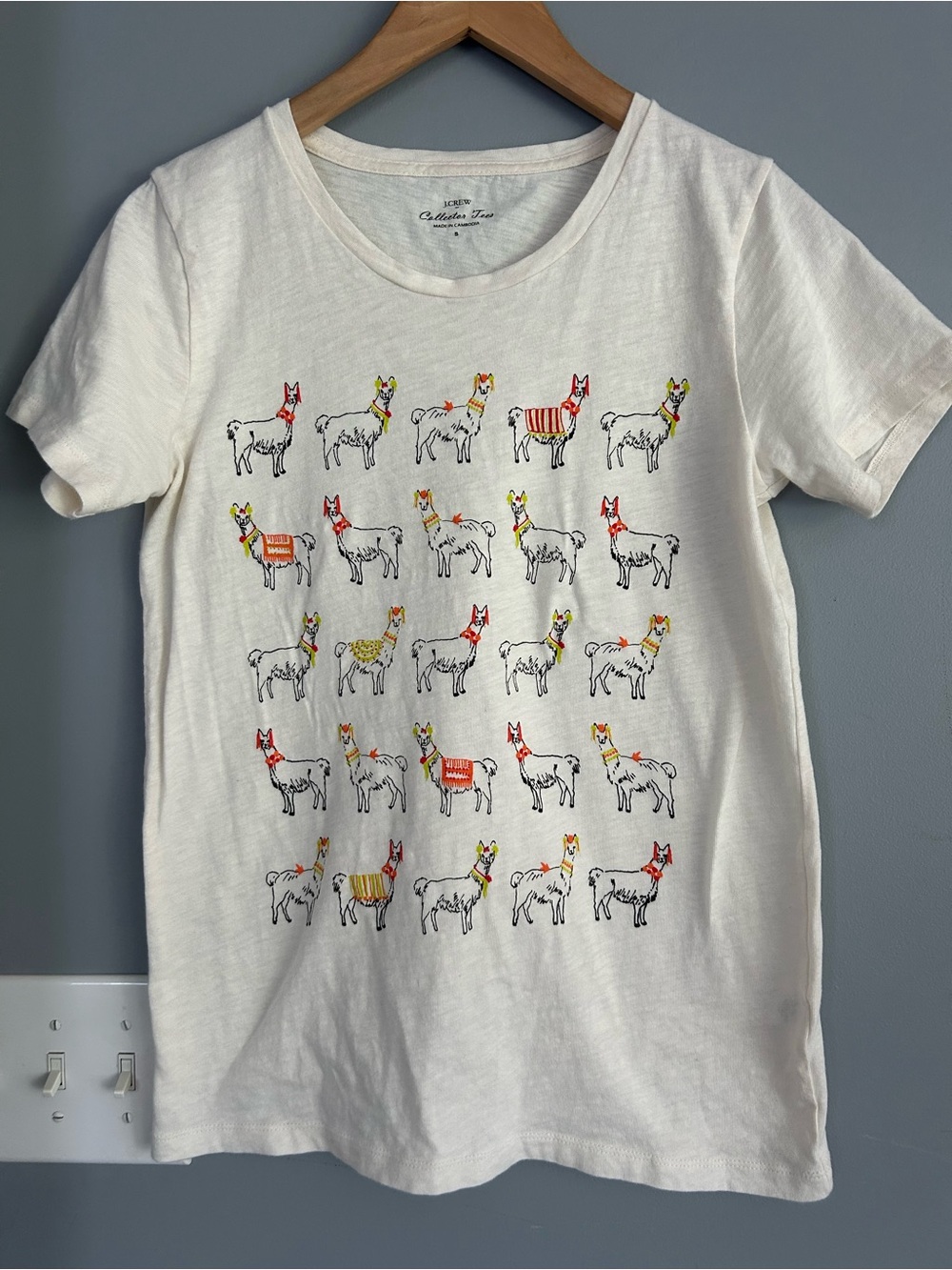 Off White Graphic Tee with Colorful Llama Print